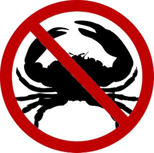 Pubic Lice Prevention