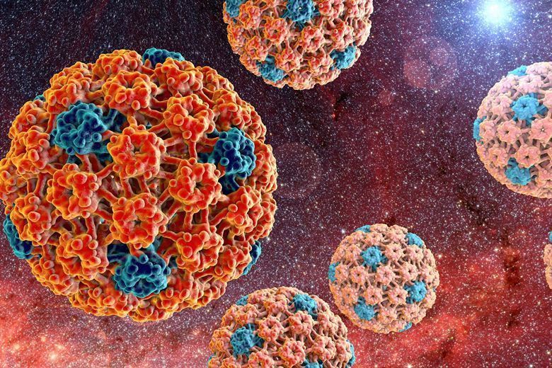 HPV virus