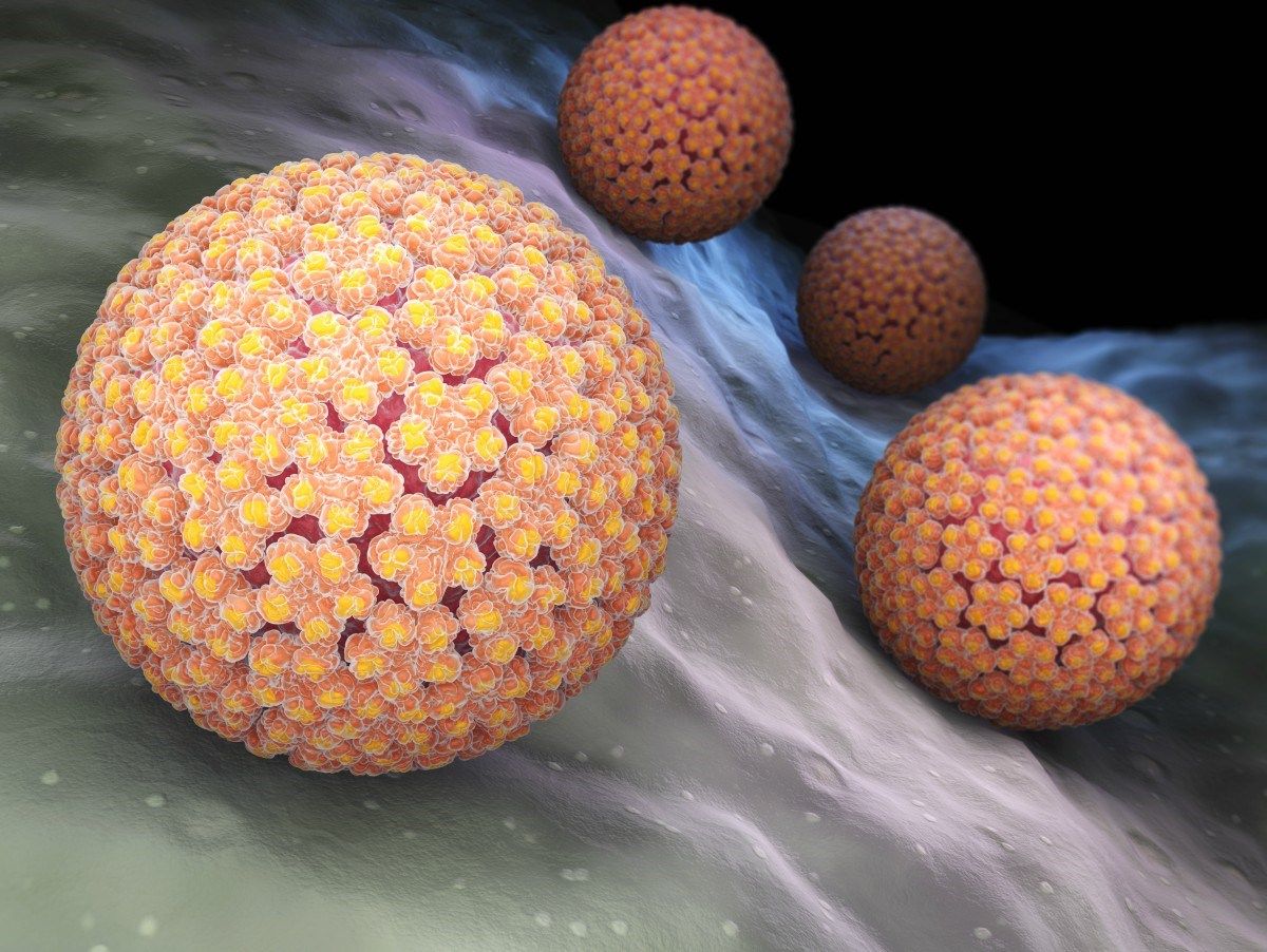 Papilloma virus 3D illustration